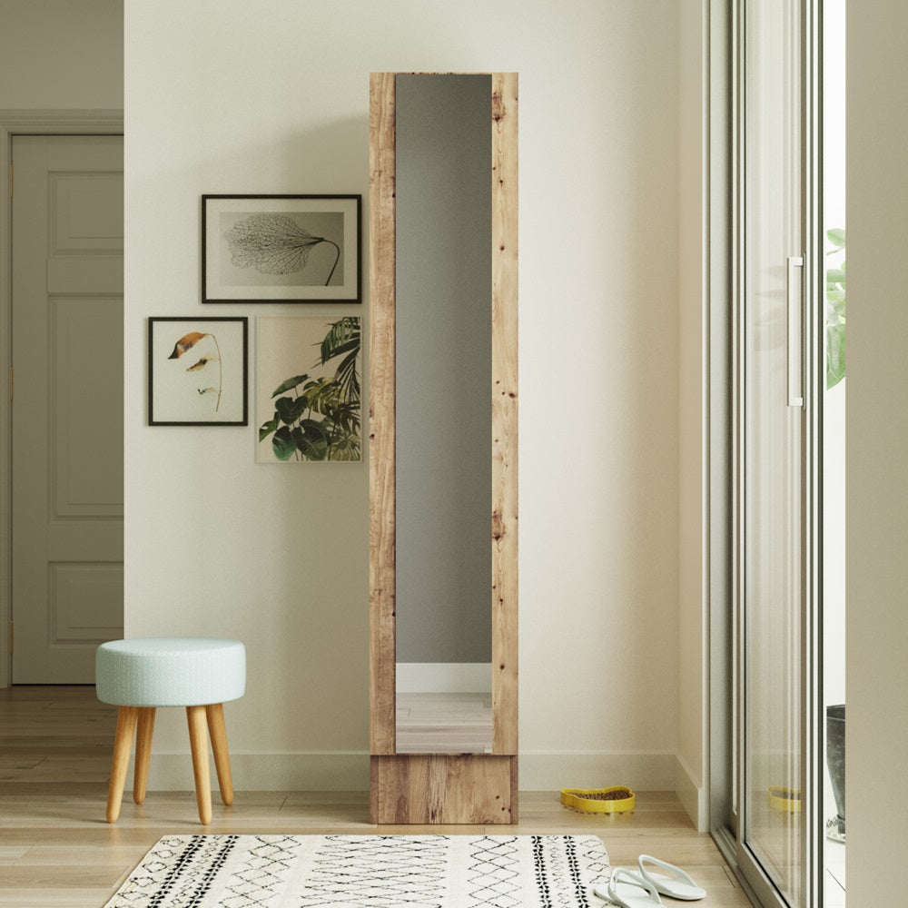 Home Canvas Iron Mirrored Shoe Cabinet Pine finish