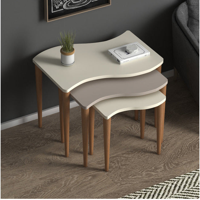 Home CanvasHome Canvas Gofrato Nested Coffee Table - Set of 3 tables for Living Room Coffee Table Multi Color