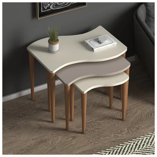 Home CanvasHome Canvas Gofrato Set of 3 Nested Coffee Table - for Living Room - Multicolor Coffee Table