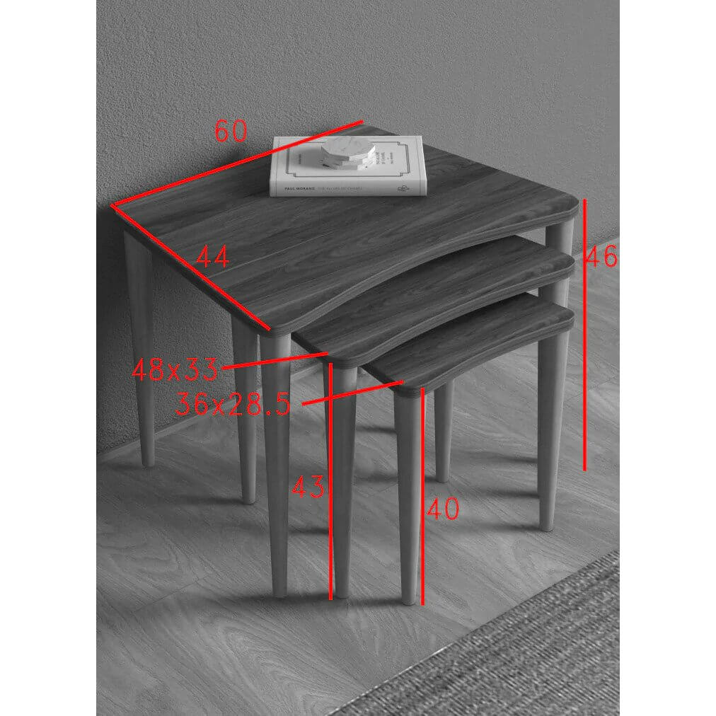 Home CanvasHome Canvas Nero Nested Coffee Table - Set of 3 Telephone Tables - Multicolor Coffee Table
