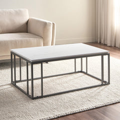 HC Home Canvas Denza Coffee Table Meta frame Stone Finish