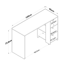 Home Canvas Vireo Sleek Desk with Built-in Storage - White and Oak