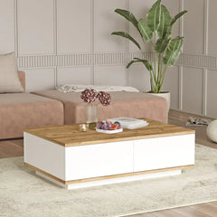 Modern living room with a wooden coffee table, sofa, and decorative items.
