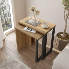 Two wooden side tables with a plant and decorative items in a room with a window.