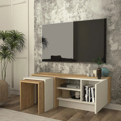 Rodega TV Stand with open storage in a modern interior