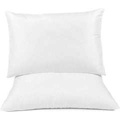 Home Canvas Furniture Trading LLC.Dream Pillow Set of Two , White Pillow 