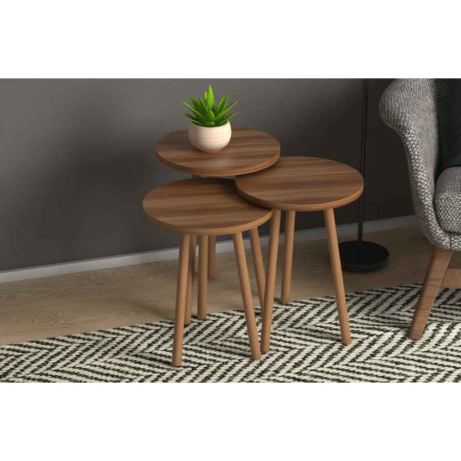 Home CanvasHome Canvas Elips Modern Coffee Table & Set of 3 Nest Table for Living Room Coffee Table 