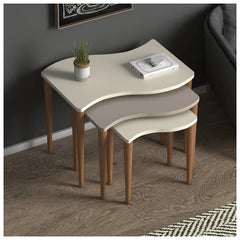 Home CanvasHome Canvas Gofrato Set of 3 Nested Coffee Table - for Living Room - Multicolor Coffee Table 