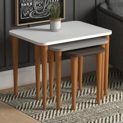 Home CanvasHome Canvas Letto Nested Coffee Table - Stacking End Table - Multicolor Coffee Table 