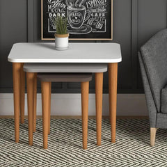 Home CanvasHome Canvas Letto Nested Coffee Table - Stacking End Table - Multicolor Coffee Table 