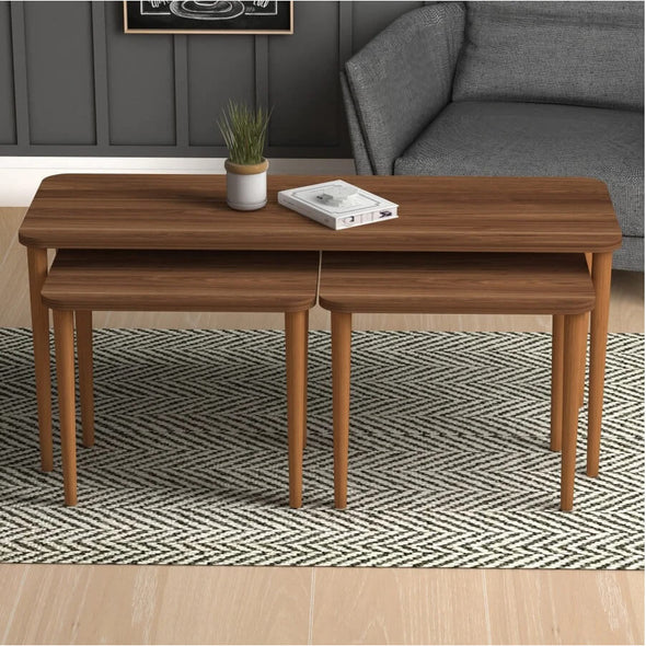 Home CanvasHome Canvas Omega Nested Coffee Table for Living Room - Set of 3 Tables Coffee Table 