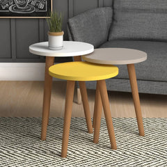 Home CanvasHome Canvas Roma Nested Coffee Table - Set of Stacking Table - Multicolor Coffee Table 