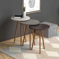 Home CanvasHome Canvas Roma Nested Coffee Table Set with Wooden Legs - Telephone Stand Coffee Table 