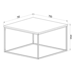Home CanvasHome Canvas Zen Square Coffee table Center table for living room study room White Coffee Table 